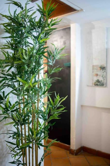 Via Dei Cestari Loft Διαμέρισμα Ρώμη Εξωτερικό φωτογραφία